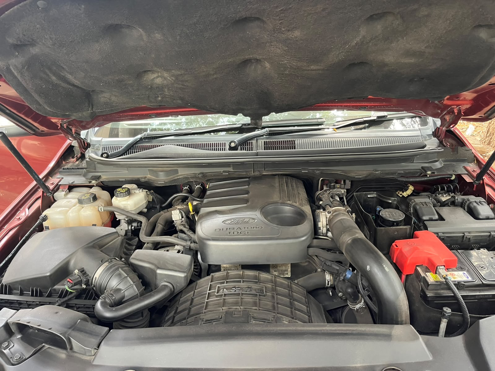 Ford Endeavour - Image 11